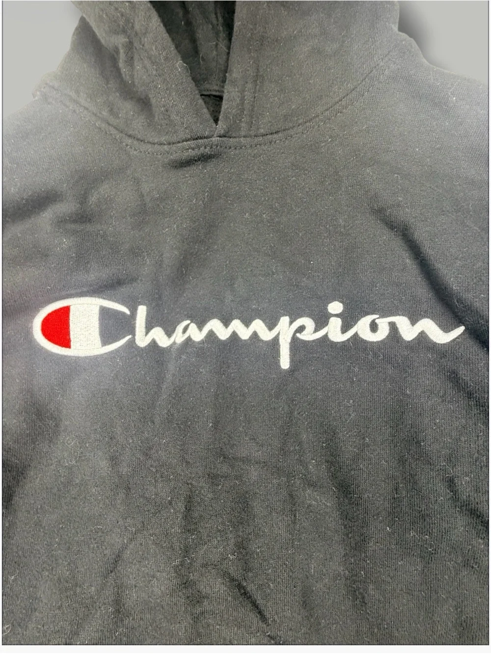 Kids Champion Hoodie (Large Boys)